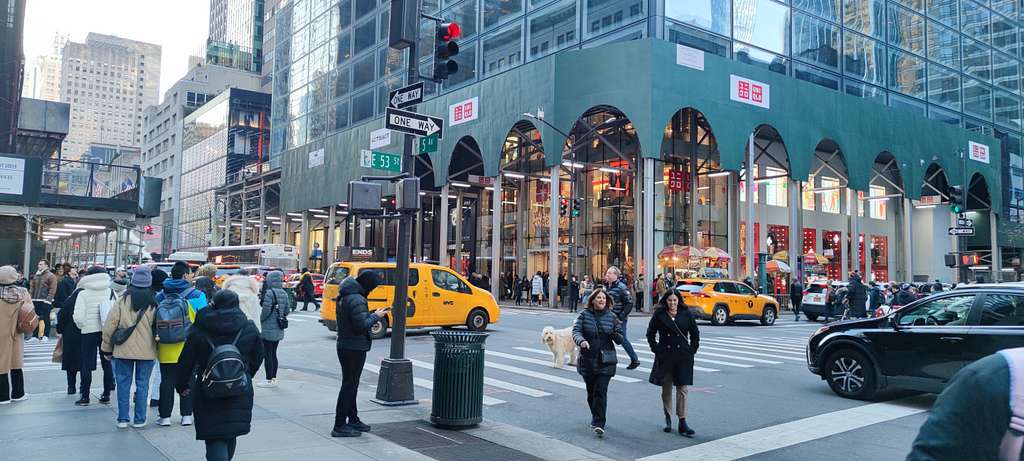 Online doctor visits in New York City (most populous city in the United States)